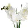 Artificial plant ATMOSPHERA 136510A Photo 2