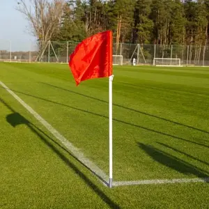 Corner Spring-Inserted Ground Flag Pole, YakimaSport — single stake-mounted flag