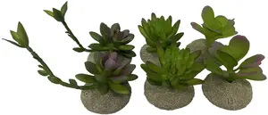Dekoratīvs sukulents terārijam Terra Natura, plastmasa un poliesteres sveķi, krāsu maisījums, 12×11×11,5 cm