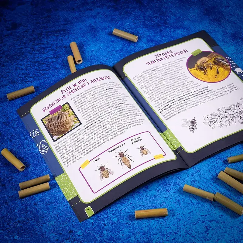 Liscianigiochi Set I'M A Genius - Bee Laboratory набор Photo 3