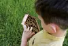 Liscianigiochi Set I'M A Genius - Bee Laboratory набор Photo 9