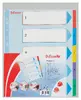 ESSELTE Index 1-5 Re-writable Mylar A4+ Photo 7