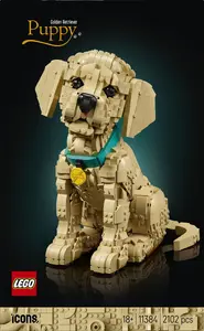 LEGO Icons Szczeniak golden retriever 11384 — model do składania, zestaw kolekcjonerski