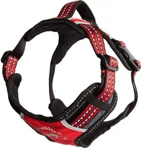 Harness All For Dogs Szelki 2x-Sport Red Size S by All For Dogs