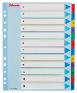 Index tabs ESSELTE 1-12 Re-writable Mylar A4+ numeric cardboard multicolour 245×297 mm 12 pcs