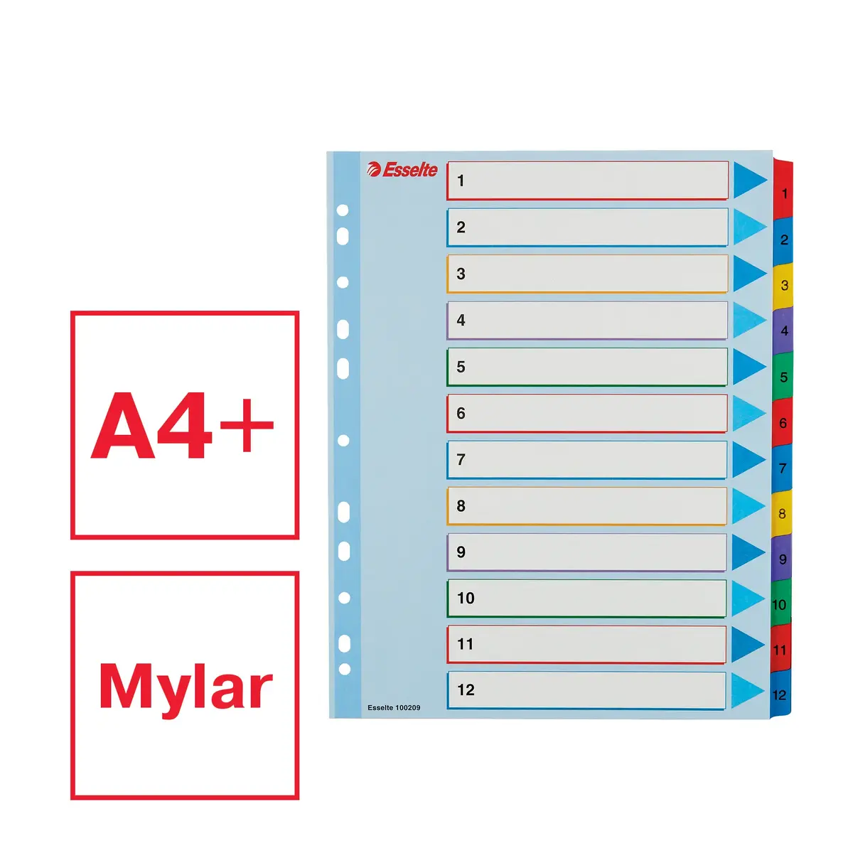 Index tabs ESSELTE 1-12 Re-writable Mylar A4+ Photo 2