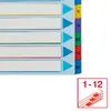 Index tabs ESSELTE 1-12 Re-writable Mylar A4+ Photo 5