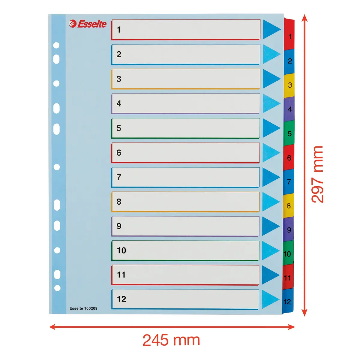 Index tabs ESSELTE 1-12 Re-writable Mylar A4+ Photo 6
