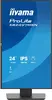 IIYAMA ProLite XB2497HSN-B1 23.8" IPS Full HD monitors Photo 4