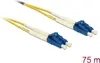 DELOCK InfiniBand/fibre optic cable 75 m OS2 2x LC Photo 2