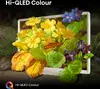 Hisense 32S5Q 32" Full HD Smart TV Balts Photo 5