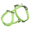 Trixie dog/cat harness 1999601 XL–XXL Photo 10