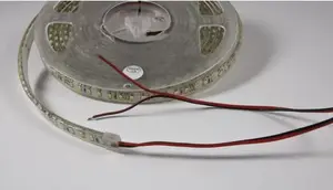 Strip light Synergy21 S21-LED-F00055 — Universal LED strip, 5000 mm, warm white, 300 LEDs, 12 V, transparent