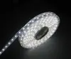 Synergy21 S21-LED-UFO0082 светодиодная лента 5 м Photo 3