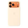 Силиконовый чехол с MagSafe — Apple iPhone 17 Pro Max Photo 2