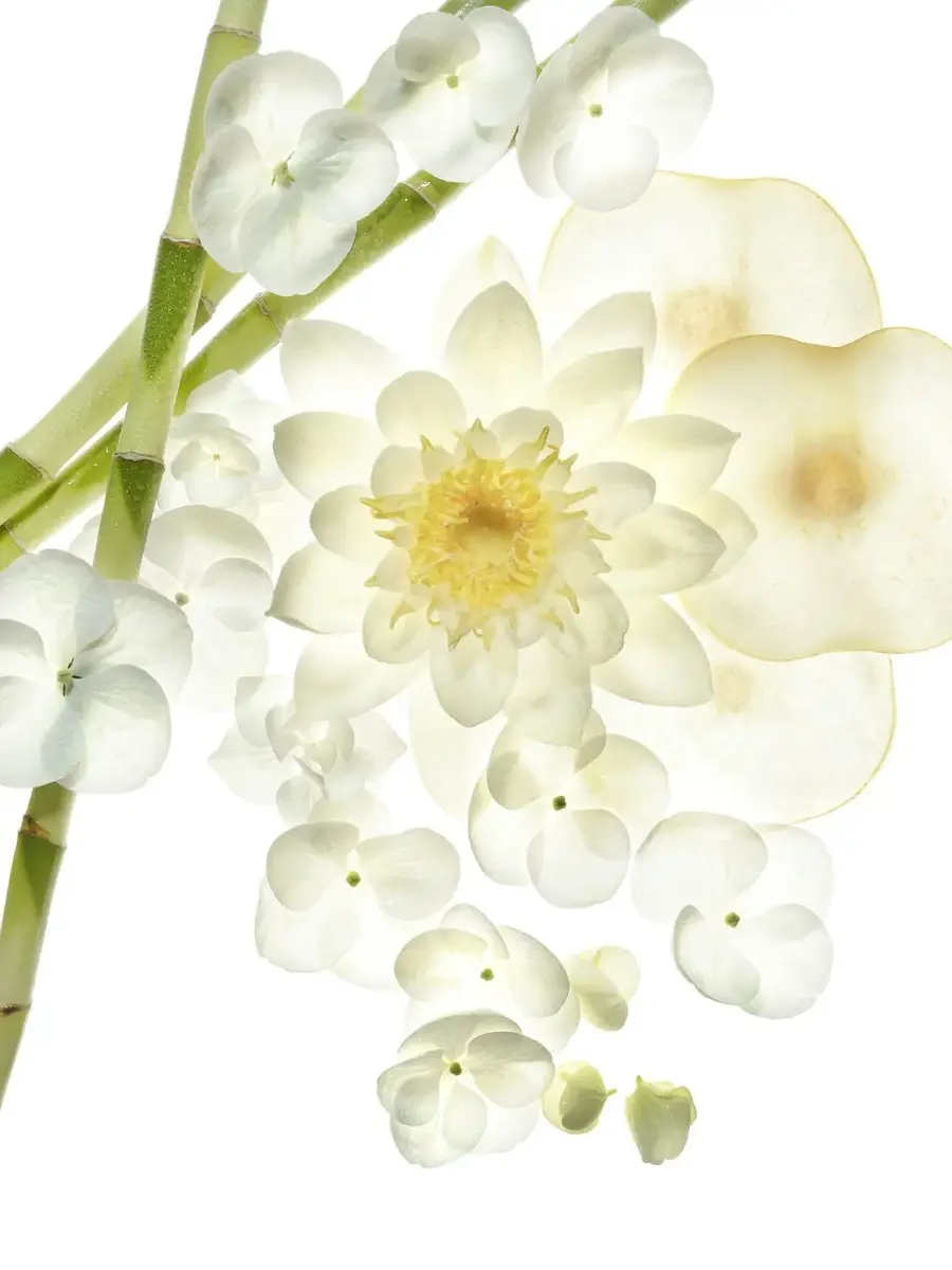 bvlgari Omnia Crystalline — 40 мл парфюм Photo 3