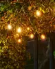 Acer Sirius Home 69510 LED string light 10 lamps Photo 3
