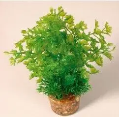 Artificial Medium Plant ZOLUX from Set No. 2 — decorative aquarium/terrarium foliage