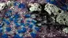 Gamers Grass Tuft Starter Boxes - Alien Grass Photo 4