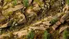 Gamers Grass GG2-DMO scale model plants, 115 pcs Photo 2