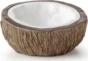 Water Bowl Exo Terra Coconut Shell 10.5 x 10.5 x 4.8 cm for Terrarium