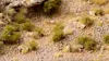 Модельная растительность Gamers Grass GGD6-DG Photo 4