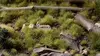 Gamers Grass GG4-G scale model foliage, 114 pcs Photo 4