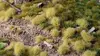 Gamers Grass GG12-LG scale model plants, 36 pcs Photo 4