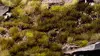 Scale Model Plants Gamers Grass GG4-SWs Photo 4