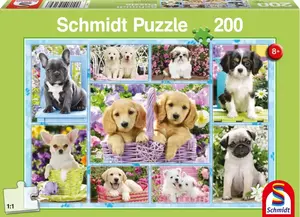 Пазл Schmidt Spiele 56162 — 200 элементов, тематика «Фауна», 432×291 мм, от 8 лет