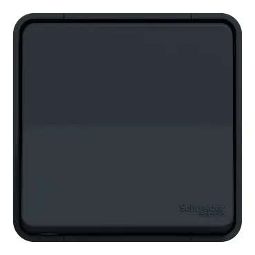 Schneider Electric MUR35021 light switch Photo 3