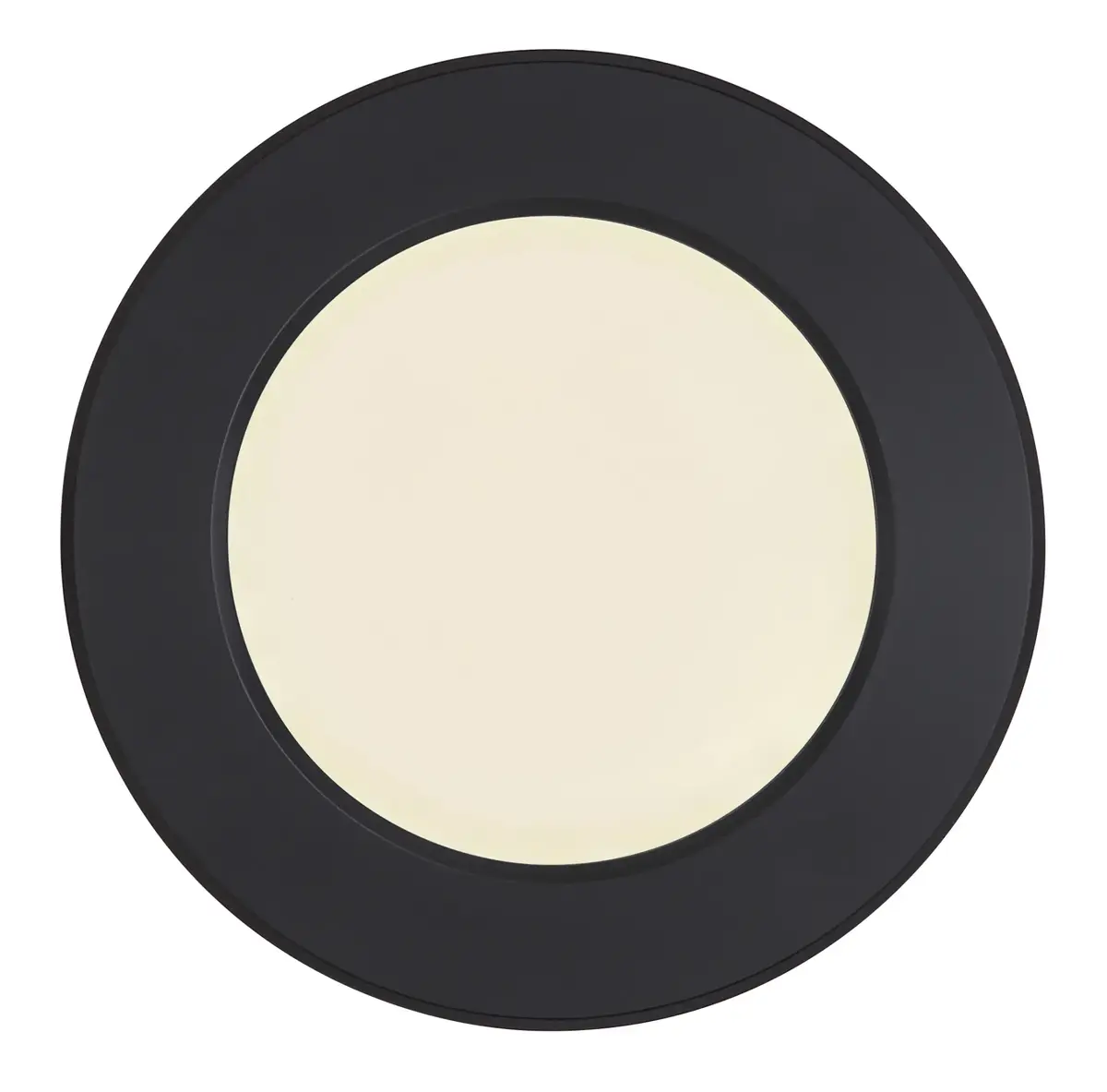 Потолочный светильник GLOBO 12379-6B LED Photo 2