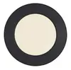 Потолочный светильник GLOBO 12379-6B LED Photo 2