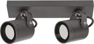 Griestu āra lampa Rabalux Elva 7930 IP44 2x35W GU10, antracīts/caurspīdīgs