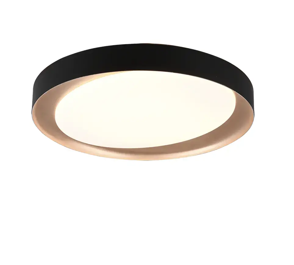 Trio RL ZETA потолочный LED 24 Вт Photo 2