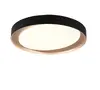 Trio RL ZETA потолочный LED 24 Вт Photo 2