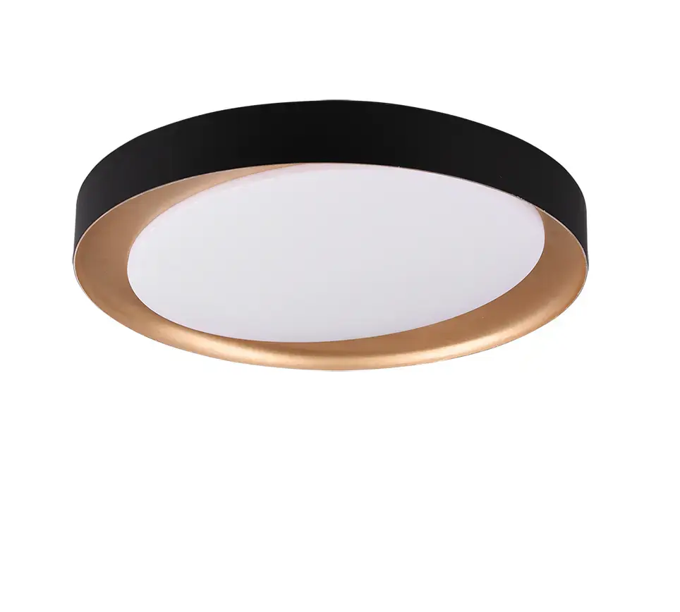 Trio RL ZETA потолочный LED 24 Вт Photo 3