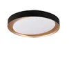 Trio RL ZETA потолочный LED 24 Вт Photo 3