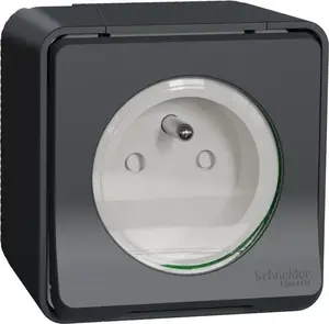 Kontaktligzda Schneider Electric Mureva Styl MUR36030 2P+PE skrūvju spailes antracīts
