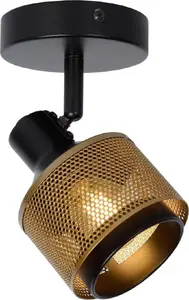 Griestu prožektors Lucide RAFA 77980/01/30 misiņš LED-ready regulējams