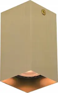 Ceiling lamp Italux Ander CLN-28394-S-GD – 1x GU10 spot, 10W, gold finish