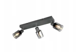 Griestu lampa DELIGHT Trio Cadiz R81783042 3×10W E14, antracīts
