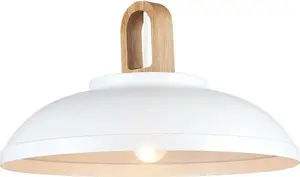 Griestu lampa Italux Danito MDM3153/1L W — vienas spuldzes griestu gaismeklis, balts