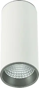 Ceiling lamp Italux Moldes Big WH/GR 12W 3000K — white and gray finish