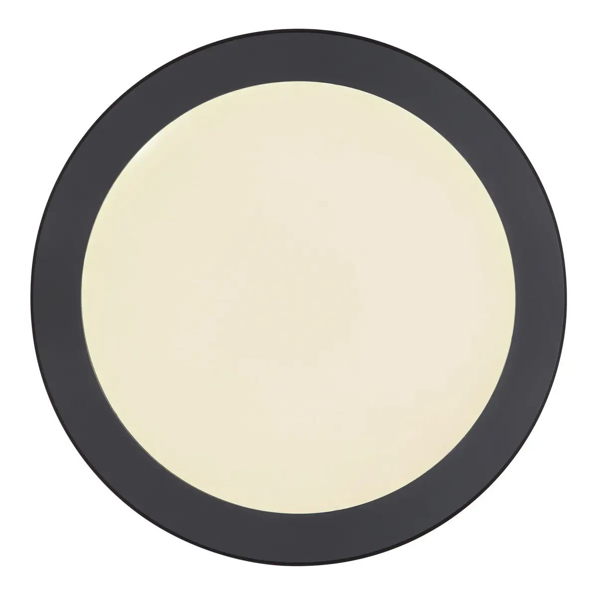 GLOBO 12379-24B LED потолочный светильник 24 Вт Photo 2
