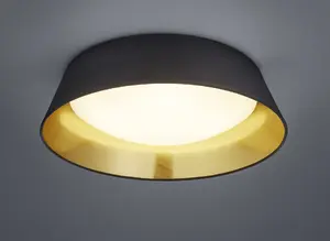 Настольная лампа TRIO R62871879 — TRIO R62871879