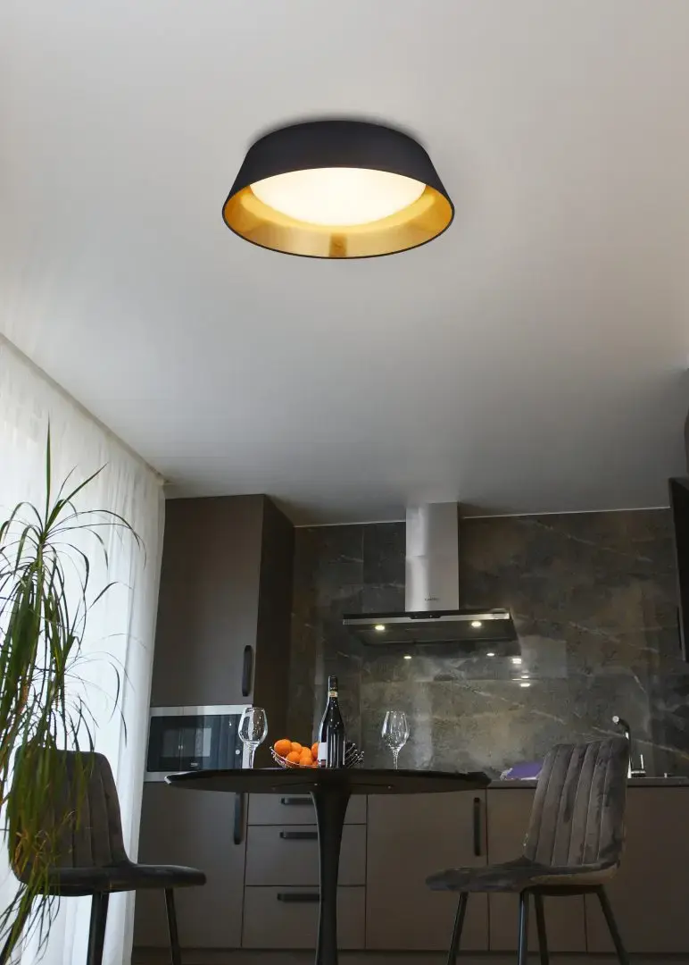 Настольная лампа TRIO R62871879 Photo 2