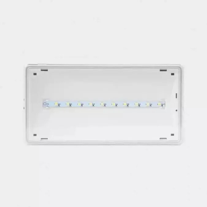 Holiday & Decorative Lighting