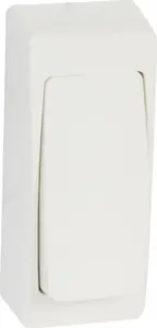 Настенный однополюсный кнопочный выключатель Legrand OTEO MINI 086085 белый