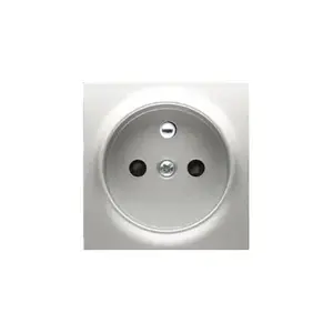 Розетка Kontakt-Simon DGZ1ZP/43, серебристая, пластиковый корпус, IP20